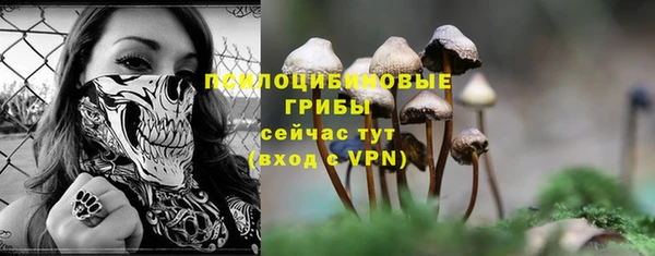 ешки Аркадак