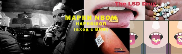 ешки Аркадак