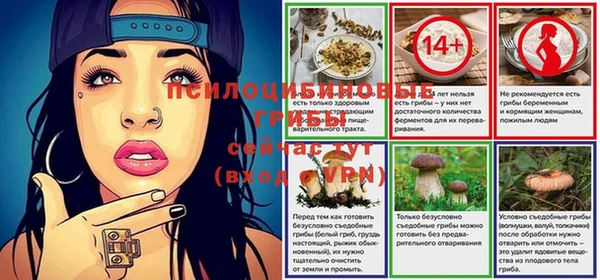метадон Армянск