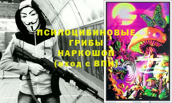 ешки Аркадак